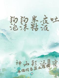 狗狗半夜吐白色泡沫粘液