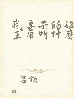 我妻子的姐姐女主角叫什么