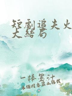 短剧追夫火葬场大结局