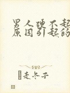 男人硬不起什么原因引起的