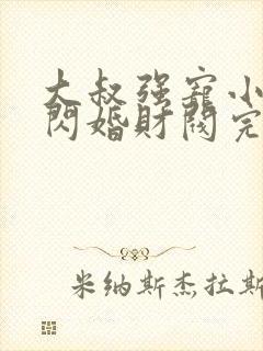 大叔强宠小娇妻闪婚财阀完整