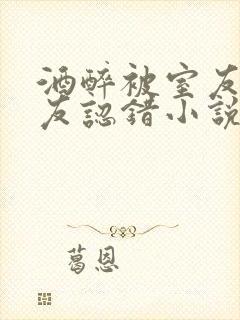 酒醉被室友的男友认错小说全文阅读