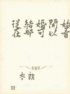 从结婚开始恋爱在哪可以看