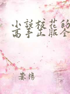 小说校花的贴身高手正版全文下载