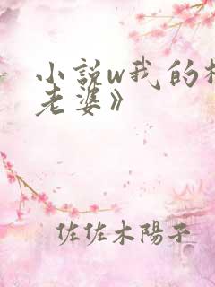 小说w我的极品老婆》