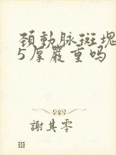 颈动脉斑块1.5厚严重吗