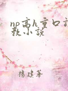 np高h重口调教小说