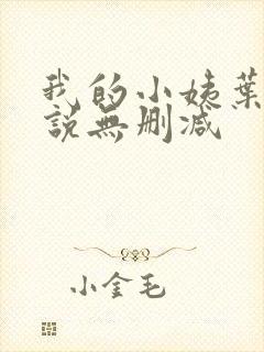 我的小姨叶凡小说无删减
