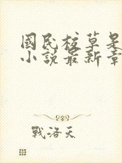 国民校草是女生小说最新章节