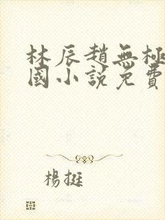 林辰赵无极大魏国小说免费阅读新笔趣阁