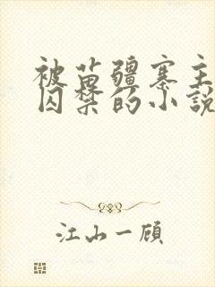 被苗疆寨主抓住囚禁的小说女主