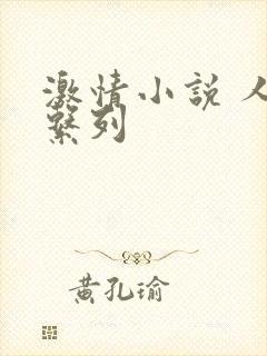 激情小说 人妻系列