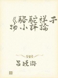 《骆驼祥子》人物小评论