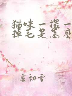 猫咪一撮一撮的掉毛是怎么回事