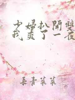 少妇扒开双腿让我爽了一夜