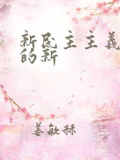 新民主主义革命的新