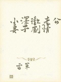 小泽彻老公原谅妻子剧情