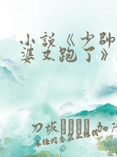 小说《少帅你老婆又跑了》