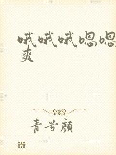 哦哦哦嗯嗯嗯好爽