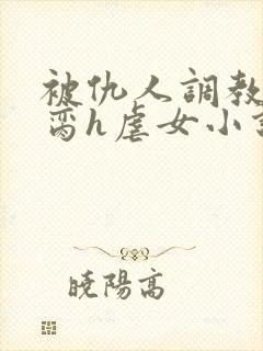 被仇人调教成禁脔h虐女小说