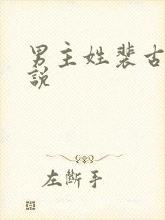 男主姓裴古代小说