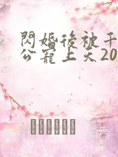 闪婚后被千亿老公宠上天20