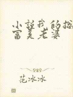 小说我的总裁白富美老婆