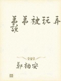 弟弟被玩弄的小说