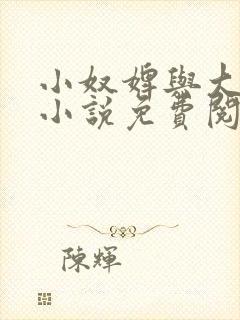 小奴婢与大少爷小说免费阅读