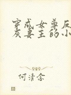 穿成女尊反派炮灰妻主的小说