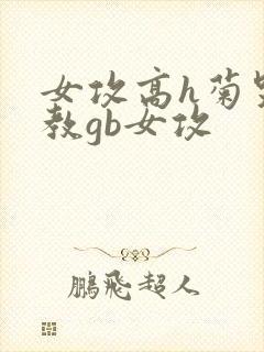 女攻高h菊哭调教gb女攻