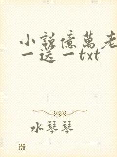 小说亿万老婆买一送一txt