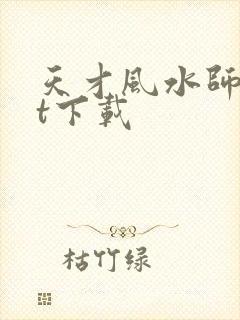 天才风水师txt下载