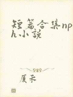 短篇合集np高h小说