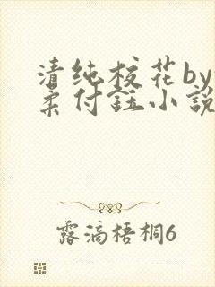 清纯校花by沈柔付钰小说免费阅读