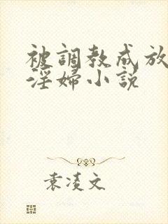 被调教成放荡小淫妇小说