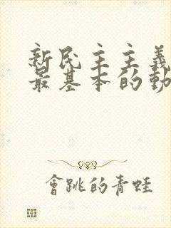 新民主主义革命最基本的动力是().