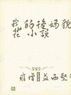 我的后妈貌美如花 小说