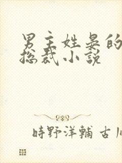 男主姓晏的霸道总裁小说