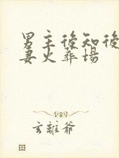 男主后知后觉追妻火葬场