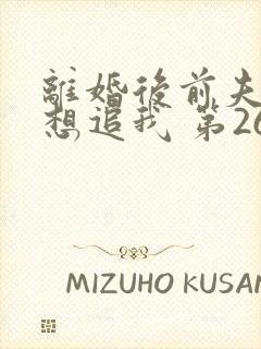 离婚后前夫总是想追我 第260章