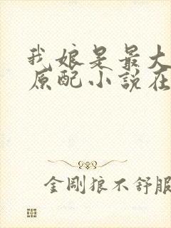 我娘是最大方的原配小说在线阅读