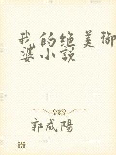 我的绝美御姐老婆小说