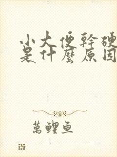 小大便干硬成粒是什么原因引起的