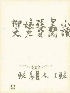 柳姨张昊小说全文免费阅读