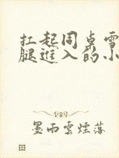 扛起同桌雪白双腿进入的小说
