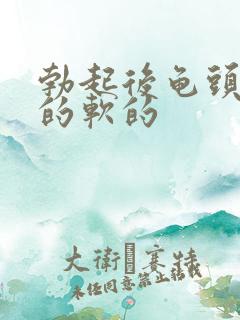 勃起后龟头是硬的软的