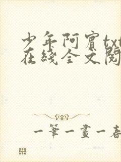 少年阿宾txt在线全文阅读