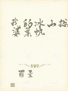 我的冰山总裁老婆叶帆