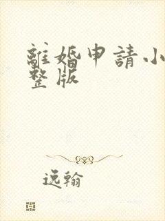 离婚申请小说完整版